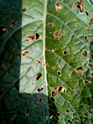 Similar image 22222176