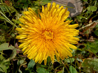 Similar image 22222178