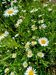 Similar image 22222179