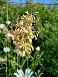 Similar image 22222180