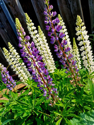 Similar image 22222181