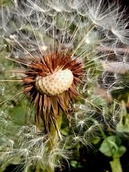 Similar image 22222182