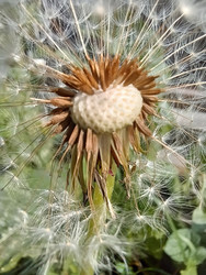 Similar image 22222183