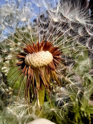 Similar image 22222184