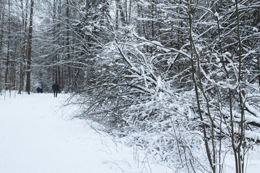 Similar image 22225902