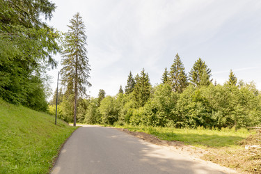 Similar image 22226095