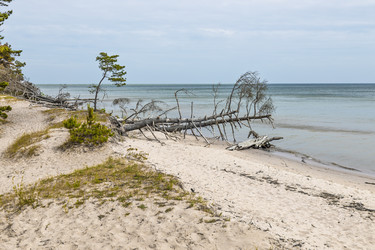 Similar image 22231645