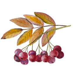 Similar image 22222187