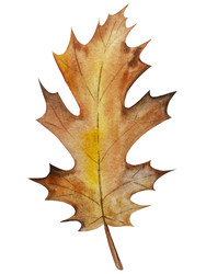 Similar image 22222191