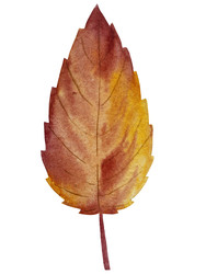 Similar image 22222192