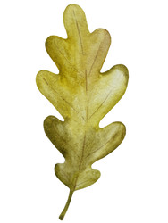 Similar image 22222193