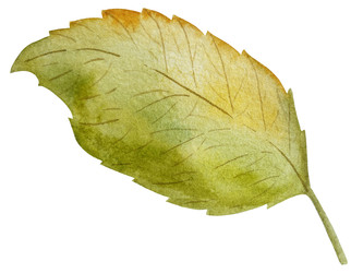 Similar image 22222194