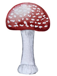 Similar image 22222195