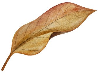 Similar image 22222196