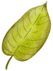 Similar image 22222197