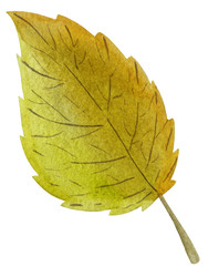 Similar image 22222200