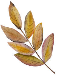 Similar image 22222201