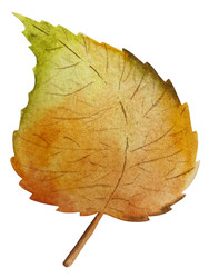 Similar image 22222214