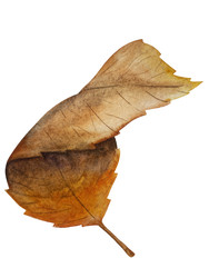 Similar image 22222215