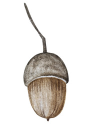 Similar image 22222217