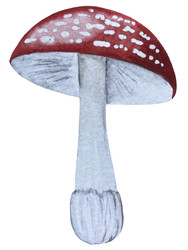 Similar image 22222220