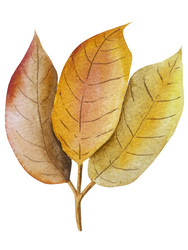 Similar image 22222221