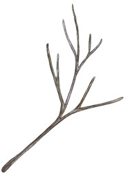 Similar image 22222223