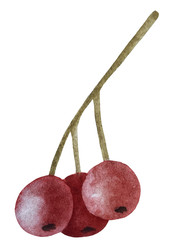 Similar image 22222224