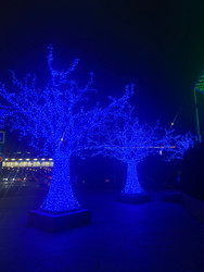 Similar image 22222541