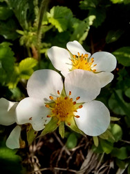 Similar image 22225529