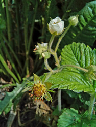 Similar image 22225530