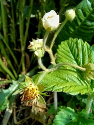 Similar image 22225531