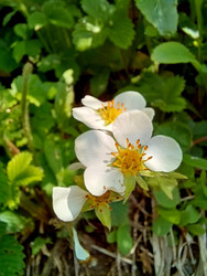 Similar image 22223116