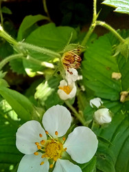 Similar image 22223117