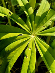 Similar image 22223118