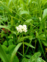 Similar image 22223119