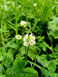 Similar image 22223121