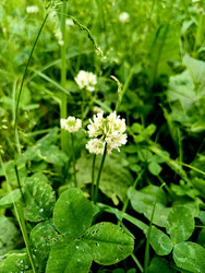 Similar image 22223122