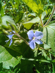 Similar image 22223123