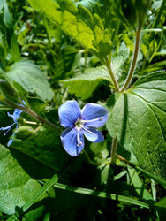 Similar image 22223124