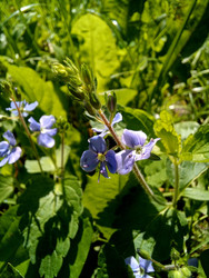 Similar image 22223125