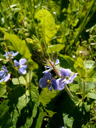 Similar image 22223126