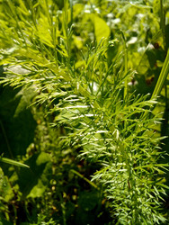 Similar image 22223127