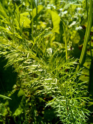 Similar image 22223128