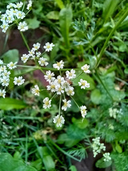 Similar image 22223130