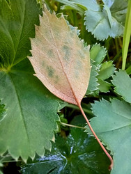 Similar image 22223132