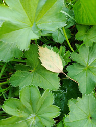 Similar image 22223133