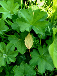 Similar image 22223134