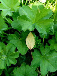 Similar image 22223135