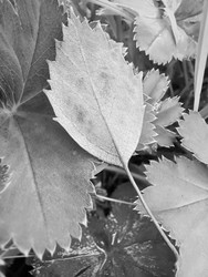 Similar image 22223136